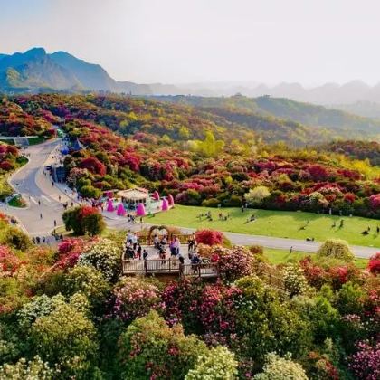 毕节+百里杜鹃风景区2日1晚拼小团