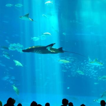 冲绳县5日4晚自由行 冲绳县5日4晚自由行