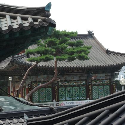 韩国仁川+首尔5日4晚拼小团 韩国仁川+首尔5日4晚拼小团