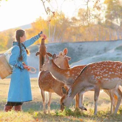 秦皇岛+北戴河+乌兰布统+木兰围场+承德避暑山庄+坝上6日5晚拼小团 秦皇岛+北戴河+乌兰布统+木兰围场+承德避暑山庄+坝上6日5晚拼小团
