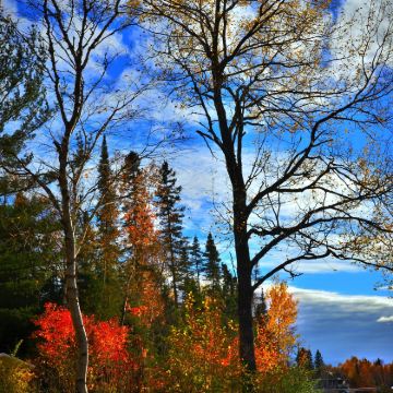 加拿大多伦多+渥太华+魁北克城+金斯顿+尼亚加拉瀑布8日7晚私家团 加拿大多伦多+渥太华+魁北克城+金斯顿+尼亚加拉瀑布8日7晚私家团