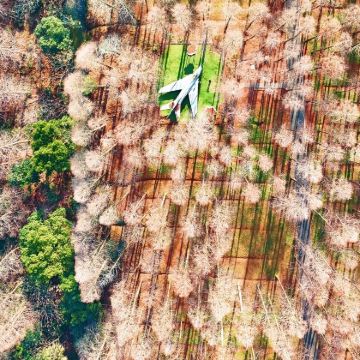 崇明岛2日1晚私家团 崇明岛2日1晚私家团