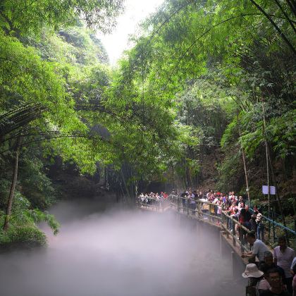 邛崃川西竹海景区+安仁古镇+刘氏庄园博物馆3日2晚私家团