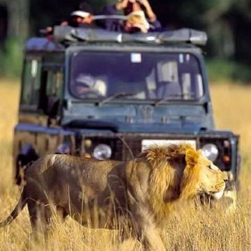 坦桑尼亚12日10晚私家团 坦桑尼亚12日10晚私家团