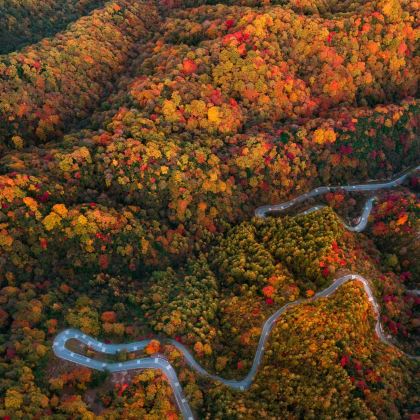 汉中+光雾山旅游景区+米仓山国家森林公园5日4晚私家团 汉中+光雾山旅游景区+米仓山国家森林公园5日4晚私家团