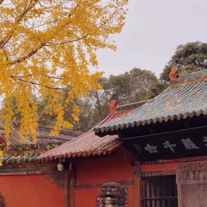 成都+光雾山旅游景区+阆中古城+成都大熊猫繁育研究基地+三星堆博物馆6日5晚私家团 成都+光雾山旅游景区+阆中古城+成都大熊猫繁育研究基地+三星堆博物馆6日5晚私家团