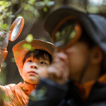 长沙+天门山国家森林公园+张家界国家森林公园+凤凰古城+韶山+芙蓉镇11日10晚私家团 长沙+天门山国家森林公园+张家界国家森林公园+凤凰古城+韶山+芙蓉镇11日10晚私家团