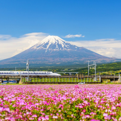 东京+富士山+轻井泽町+川越6日5晚跟团游 东京+富士山+轻井泽町+川越6日5晚跟团游