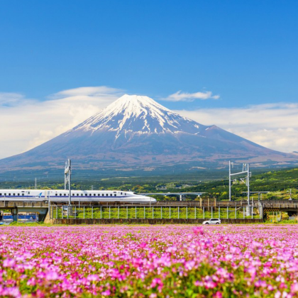 东京+富士山+轻井泽町+川越6日5晚跟团游 东京+富士山+轻井泽町+川越6日5晚跟团游