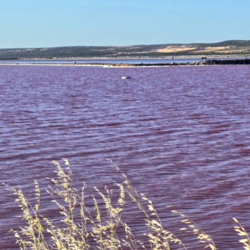 澳大利亚珀斯+赫特泻湖2日1晚跟团游 澳大利亚珀斯+赫特泻湖2日1晚跟团游