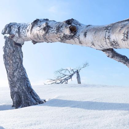 秦皇岛+北戴河+承德+乌兰布统+木兰围场+坝上6日5晚私家团 秦皇岛+北戴河+承德+乌兰布统+木兰围场+坝上6日5晚私家团