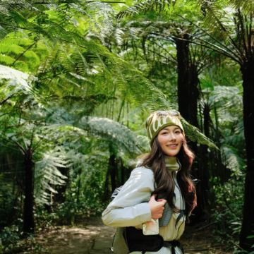 西双版纳+普洱6日5晚私家团 西双版纳+普洱6日5晚私家团