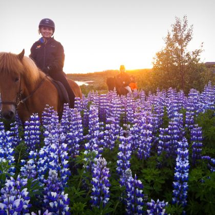 冰岛+蓝湖+瓦特纳冰川国家公园+阿克雷里+斯奈山半岛+米湖+黄金旅游圈+丝浮拉大裂缝11日8晚私家团 冰岛+蓝湖+瓦特纳冰川国家公园+阿克雷里+斯奈山半岛+米湖+黄金旅游圈+丝浮拉大裂缝11日8晚私家团