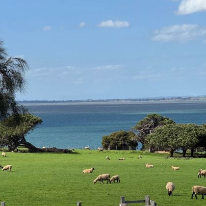 澳大利亚8日6晚私家团 澳大利亚8日6晚私家团