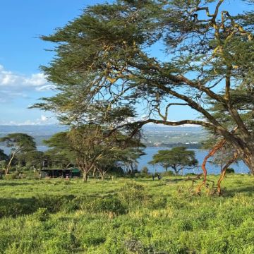坦桑尼亚+阿鲁沙10日9晚私家团 坦桑尼亚+阿鲁沙10日9晚私家团