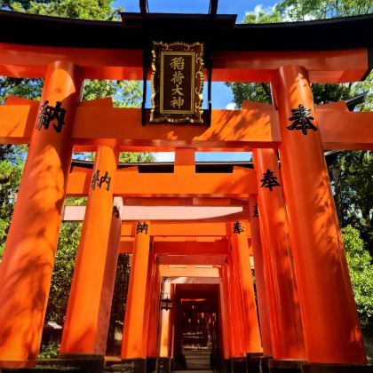 日本大阪+奈良市+中部地方+京都+富士山+东京6日5晚跟团游 日本大阪+奈良市+中部地方+京都+富士山+东京6日5晚跟团游