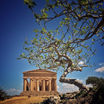 意大利5日4晚跟团游 意大利5日4晚跟团游