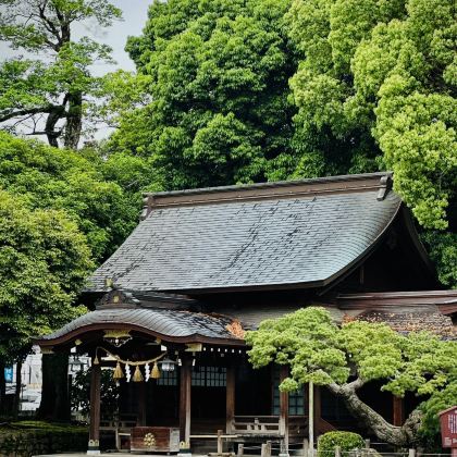 福冈+大分+熊本+三丽鸥和谐乐园6日5晚私家团 福冈+大分+熊本+三丽鸥和谐乐园6日5晚私家团