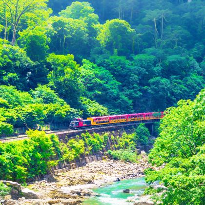 日本大阪+京都5日4晚私家团 日本大阪+京都5日4晚私家团