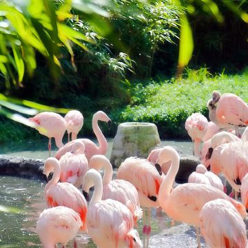 法国巴黎+瑞士苏黎世+卢塞恩+卢浮宫+凡尔赛宫+巴黎迪士尼乐园+橘园美术馆+巴塞尔玩具世界博物馆+科尔玛小威尼斯8日7晚拼小团 法国巴黎+瑞士苏黎世+卢塞恩+卢浮宫+凡尔赛宫+巴黎迪士尼乐园+橘园美术馆+巴塞尔玩具世界博物馆+科尔玛小威尼斯8日7晚拼小团