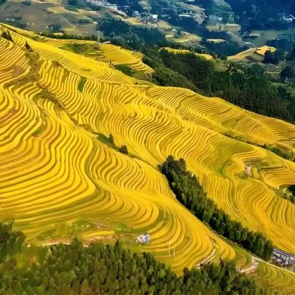 攀枝花+新山梯田+昔格达村+颛顼龙洞旅游景区+太阳湖公园+二滩国家森林公园4日3晚私家团 攀枝花+新山梯田+昔格达村+颛顼龙洞旅游景区+太阳湖公园+二滩国家森林公园4日3晚私家团
