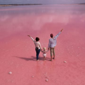 西澳大利亚珀斯3日2晚跟团游 西澳大利亚珀斯3日2晚跟团游
