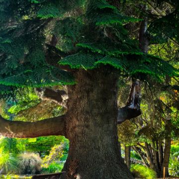 澳大利亚墨尔本+悉尼+新西兰皇后镇+基督城16日15晚私家团 澳大利亚墨尔本+悉尼+新西兰皇后镇+基督城16日15晚私家团