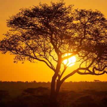 坦桑尼亚10日8晚跟团游 坦桑尼亚10日8晚跟团游