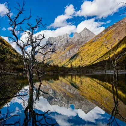 四姑娘山+稻城亚丁+鱼子西+新都桥7日6晚自由行 四姑娘山+稻城亚丁+鱼子西+新都桥7日6晚自由行