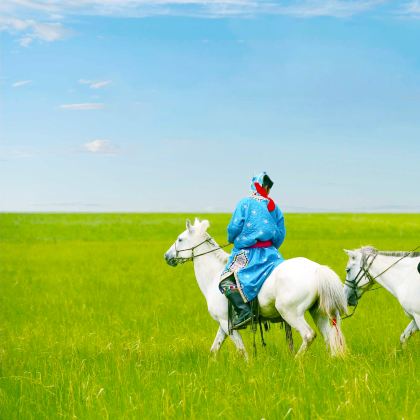 锡林郭勒盟草原+乌拉盖草原+布林泉+阿斯哈图石林景区+游牧部落+达达线+锡林郭勒盟(柳兰沟)+内蒙古锡林浩特6日5晚拼小团 锡林郭勒盟草原+乌拉盖草原+布林泉+阿斯哈图石林景区+游牧部落+达达线+锡林郭勒盟(柳兰沟)+内蒙古锡林浩特6日5晚拼小团