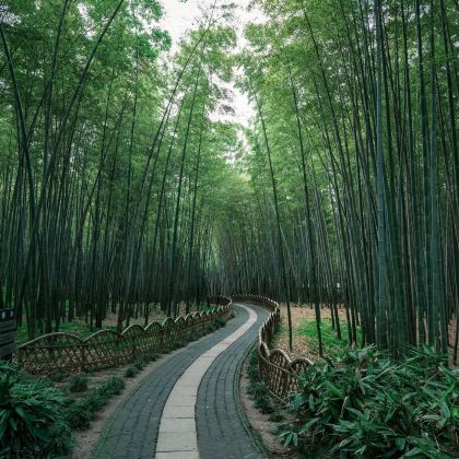 杭州+乌镇+苏州+上海5日4晚私家团 杭州+乌镇+苏州+上海5日4晚私家团