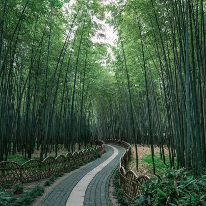 苏州+乌镇+杭州5日4晚私家团 苏州+乌镇+杭州5日4晚私家团