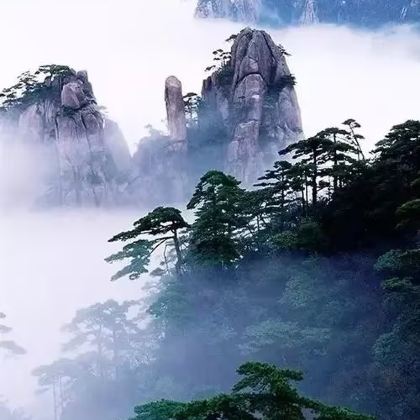 黄山风景区+齐云山景区4日3晚私家团 黄山风景区+齐云山景区4日3晚私家团