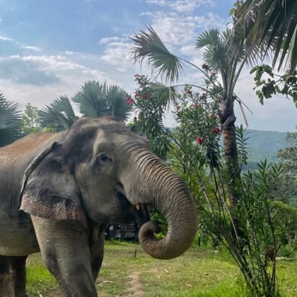 泰国普吉岛+斯米兰群岛5日4晚私家团 泰国普吉岛+斯米兰群岛5日4晚私家团
