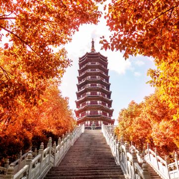 普陀山3日2晚私家团 普陀山3日2晚私家团