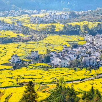 江西南昌+庐山市+婺源+景德镇+望仙谷5日4晚私家团 江西南昌+庐山市+婺源+景德镇+望仙谷5日4晚私家团