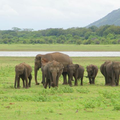 斯里兰卡+马尔代夫10日9晚私家团 斯里兰卡+马尔代夫10日9晚私家团