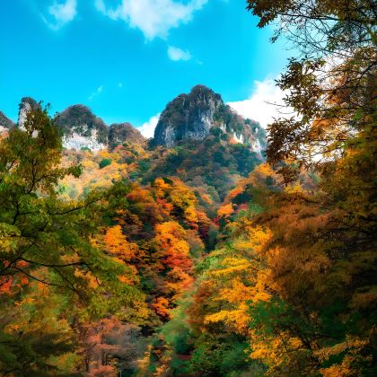 巴中+光雾山旅游景区+米仓山国家森林公园+十八月潭景区5日4晚私家团 巴中+光雾山旅游景区+米仓山国家森林公园+十八月潭景区5日4晚私家团