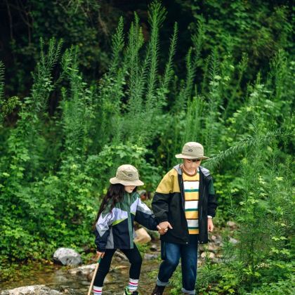 西双版纳+望天树景区+基诺山雨林徒步6日5晚私家团 西双版纳+望天树景区+基诺山雨林徒步6日5晚私家团