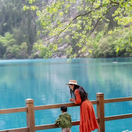 成都+九寨沟风景区+黄龙风景名胜区6日5晚私家团 成都+九寨沟风景区+黄龙风景名胜区6日5晚私家团