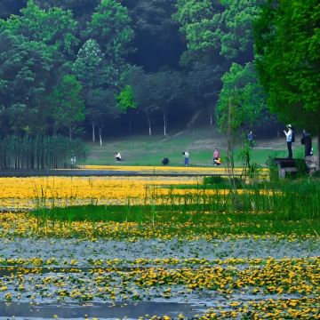 随州+炎帝文化旅游区+大洪山风景名胜区+大洪山琵琶湖风景区3日2晚私家团 随州+炎帝文化旅游区+大洪山风景名胜区+大洪山琵琶湖风景区3日2晚私家团