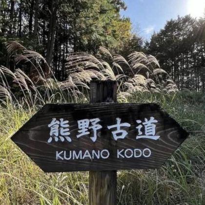 日本和歌山市+大阪+白滨町+那智胜浦町+高野町7日6晚拼小团 日本和歌山市+大阪+白滨町+那智胜浦町+高野町7日6晚拼小团