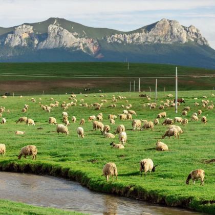 陇南文县天池国家森林公园+甘南大峪沟+千坝牧场+官鹅沟大景区+狼渡湿地草原+鹅嫚沟5日4晚跟团游 陇南文县天池国家森林公园+甘南大峪沟+千坝牧场+官鹅沟大景区+狼渡湿地草原+鹅嫚沟5日4晚跟团游