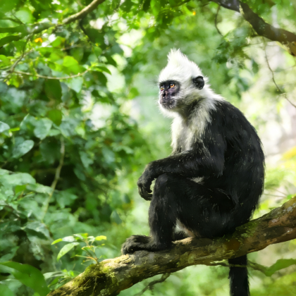 广西南宁+崇左+德天跨国瀑布景区+北海+涠洲岛7日6晚跟团游 广西南宁+崇左+德天跨国瀑布景区+北海+涠洲岛7日6晚跟团游