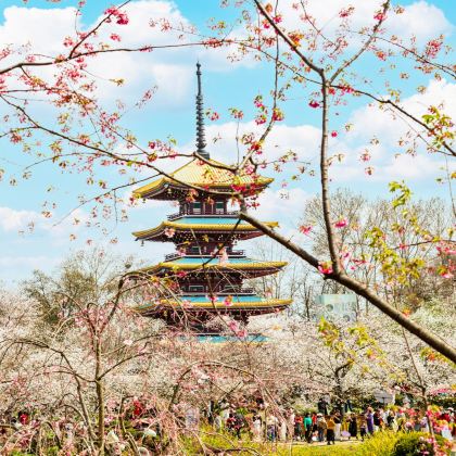 武汉+黄鹤楼+长江三峡+三峡大坝3日2晚跟团游 武汉+黄鹤楼+长江三峡+三峡大坝3日2晚跟团游