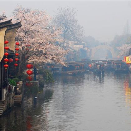 上海+东方明珠+苏州+拙政园+周庄+无锡+无锡市太湖鼋头渚风景区3日2晚跟团游 上海+东方明珠+苏州+拙政园+周庄+无锡+无锡市太湖鼋头渚风景区3日2晚跟团游