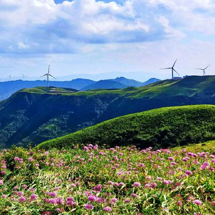 贵州+黄果树景区+万峰林景区+乌蒙大草原+阿西里西韭菜坪6日5晚私家团 贵州+黄果树景区+万峰林景区+乌蒙大草原+阿西里西韭菜坪6日5晚私家团