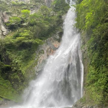 株洲+中国动力谷展示中心+株洲博物馆+炎帝陵+神农谷国家森林公园+醴陵陶瓷博物馆+醴陵瓷谷DIY陶吧3日2晚私家团 株洲+中国动力谷展示中心+株洲博物馆+炎帝陵+神农谷国家森林公园+醴陵陶瓷博物馆+醴陵瓷谷DIY陶吧3日2晚私家团