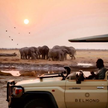 肯尼亚马赛马拉国家保护区+奈瓦沙+安博塞利+内罗毕+纳库鲁10日7晚私家团 肯尼亚马赛马拉国家保护区+奈瓦沙+安博塞利+内罗毕+纳库鲁10日7晚私家团