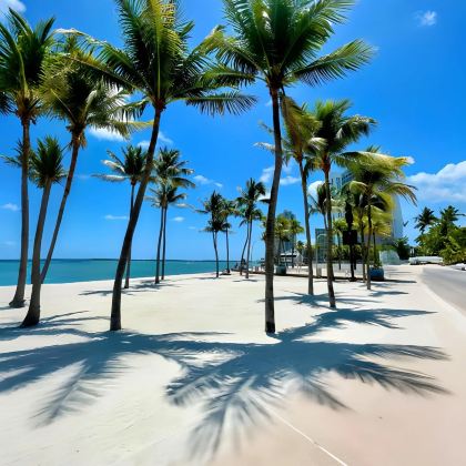 美国奥兰多+迈阿密+劳德代尔堡10日8晚私家团 美国奥兰多+迈阿密+劳德代尔堡10日8晚私家团